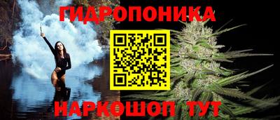 бошки Новозыбков