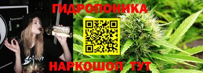 кристаллы Новодвинск