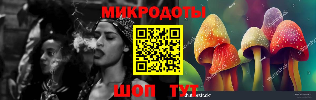 Галлюциногенные грибы GOLDEN TEACHER Югорск